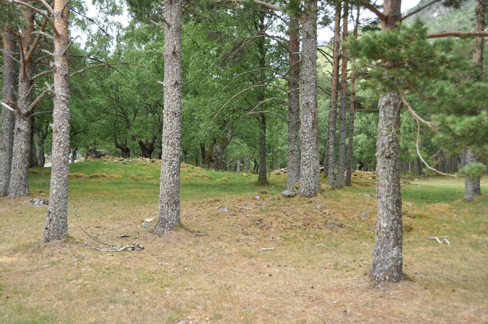 Hæreid Iron Age Burial Site