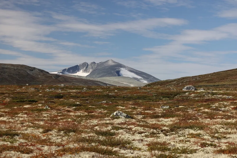 Snøhetta