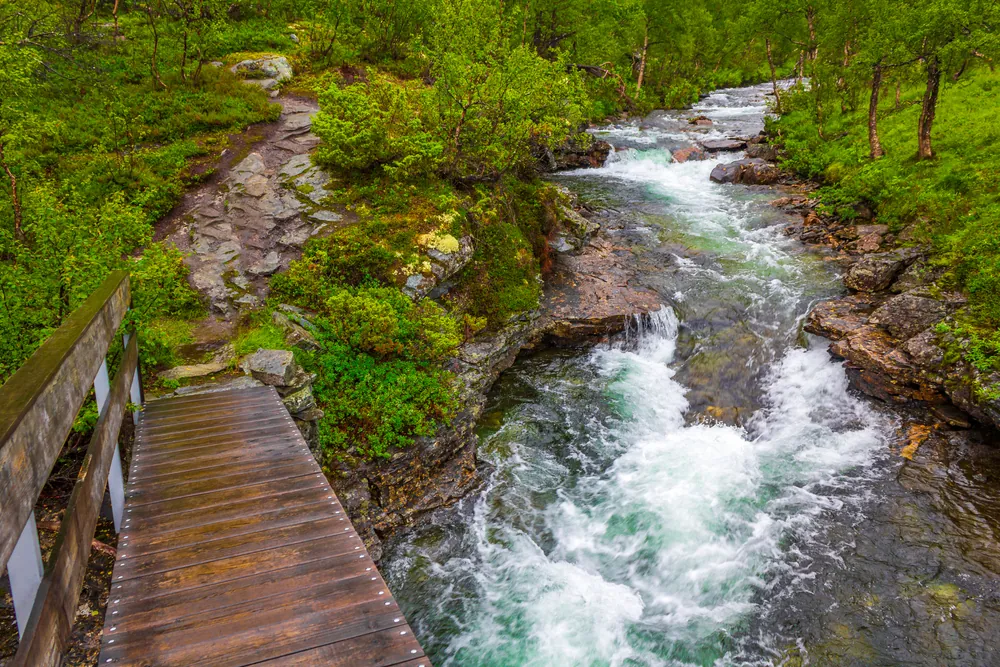 Boardwalk along the river in Utladalen valley